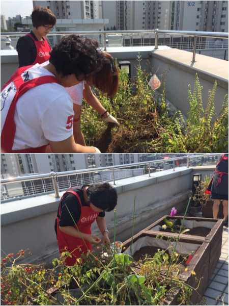 초록맘리더봉사단 \'우리가 green 마을\' 옥상정원 활동